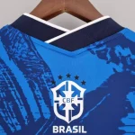 Brazil 2022 Special Jersey - Blue