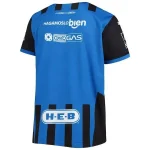Cf Monterrey Puma Youth 2022/23 Replica Drycell Jersey - Blue