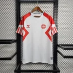 Denmark 2023/24 Away Jersey