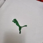 Morocco 2020 Away Jersey