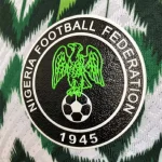 Nigeria 2022 Home Player Version Jersey