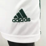 Northern Ireland 2020 Home Shorts