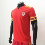 Wales 2020 Home Jersey