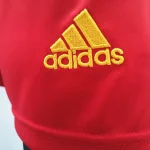 Wales 2020 Home Shorts