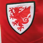 Wales 2020 Home Shorts