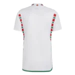 Wales 2022 World Cup Away Jersey