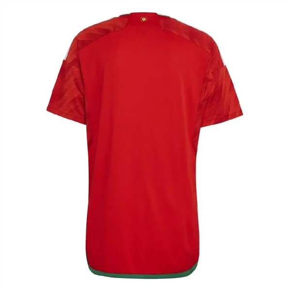 Wales 2022 World Cup Home Jersey