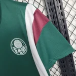 Palmeiras 2023/24 Pre-Match Training Jersey Green