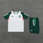 Mexico 2023-24 Training Suit