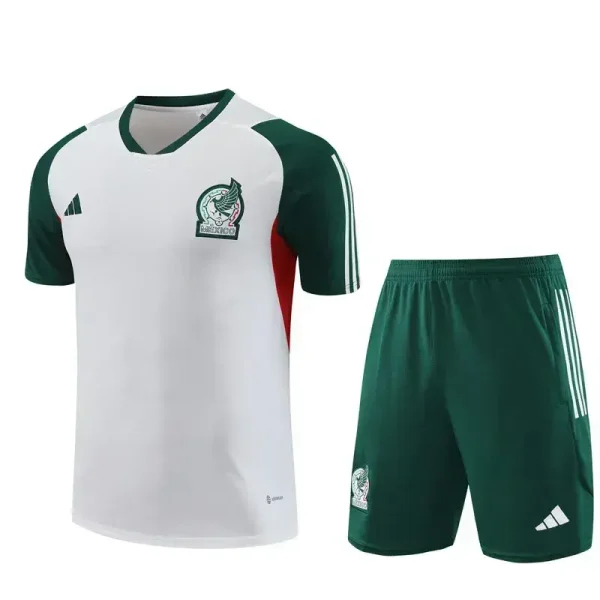 Mexico 2023-24 Training Suit