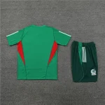 Mexico 2023-24 Training Suit