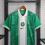 Nigeria 2024/25 Green Jersey