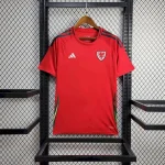 Wales 2024/25 Euro Away Jersey