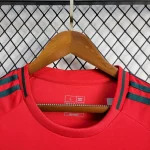 Wales 2024/25 Euro Away Jersey