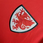 Wales 2024/25 Euro Away Jersey