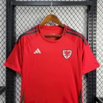 Wales 2024/25 Euro Away Jersey